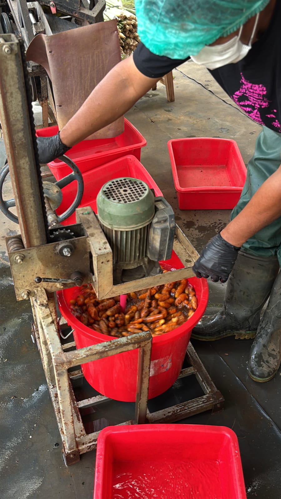 Nohyoghi Company Gallery 3